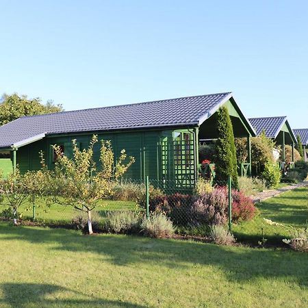 Domki Green Grzybowo Grzybowo  Exteriör bild
