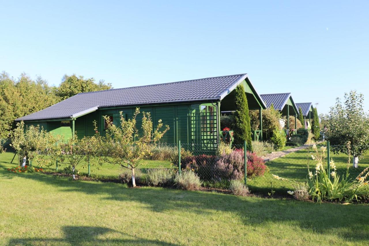 Domki Green Grzybowo Grzybowo  Exteriör bild